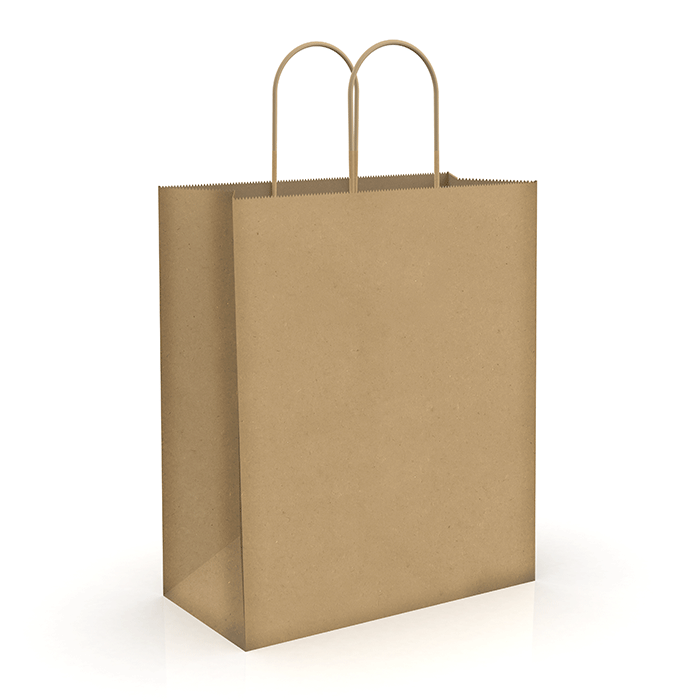 Recycled Shopping Bags – Medium (8″ x 5″ x 10″)